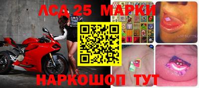 гидропоника Гусь-Хрустальный