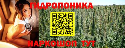 гидропоника Гусь-Хрустальный