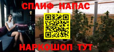 гидропоника Гусь-Хрустальный