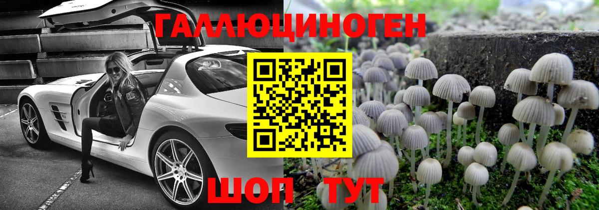 Псилоцибиновые грибы Cubensis  Псилоцибиновые грибы Cubensis  Ревда  Вход с VPN 