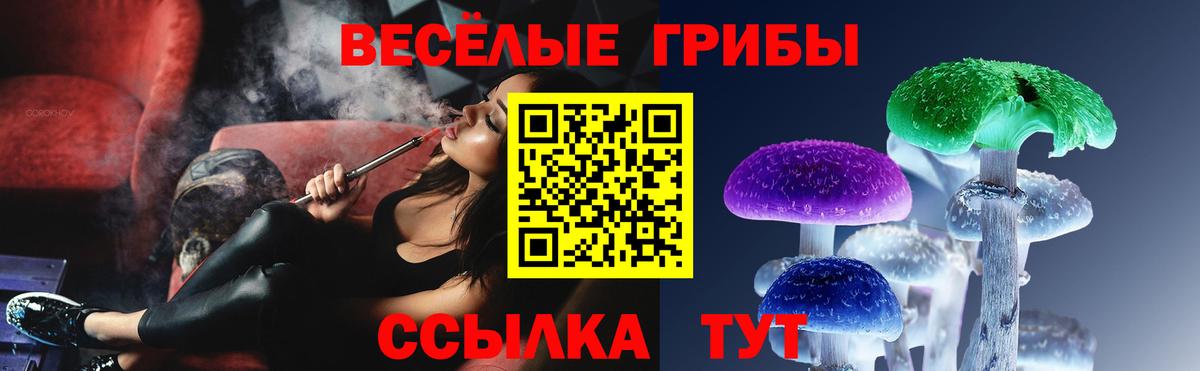 Галлюциногенные грибы GOLDEN TEACHER Ревда